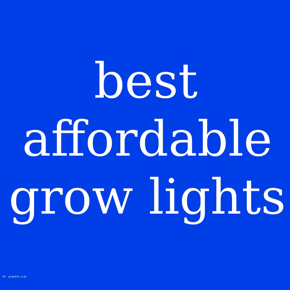 Best Affordable Grow Lights