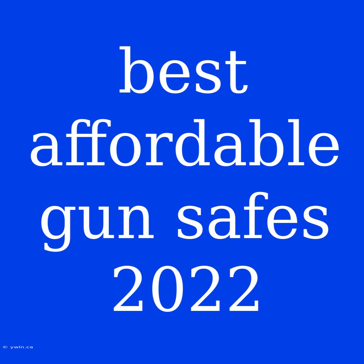 Best Affordable Gun Safes 2022