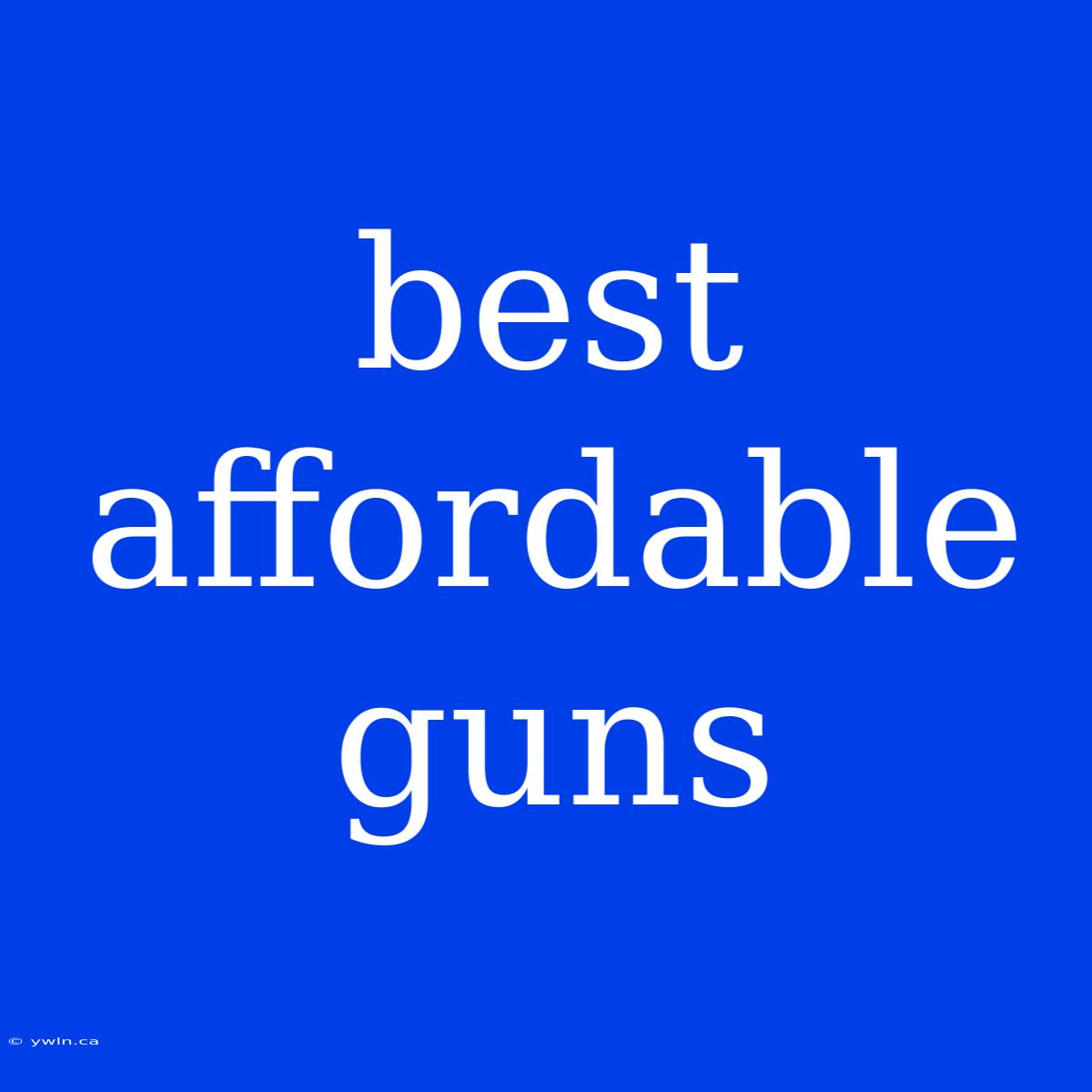 Best Affordable Guns