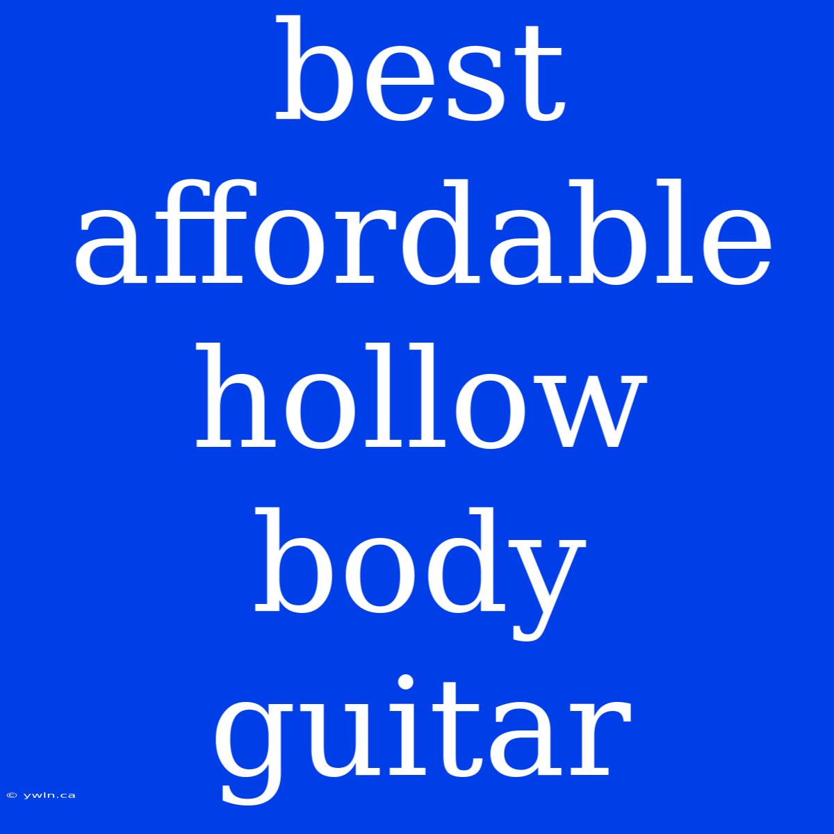 Best Affordable Hollow Body Guitar