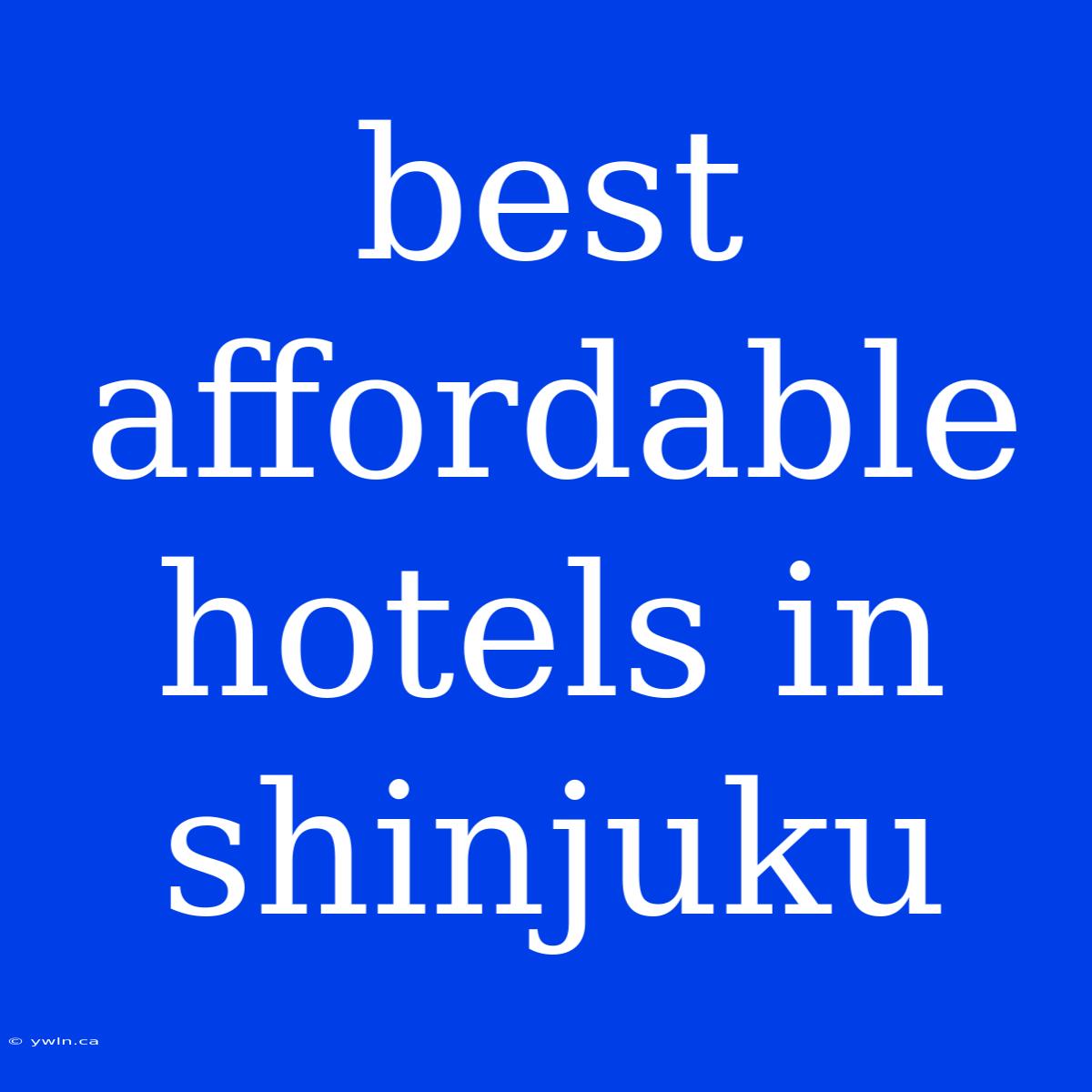 Best Affordable Hotels In Shinjuku