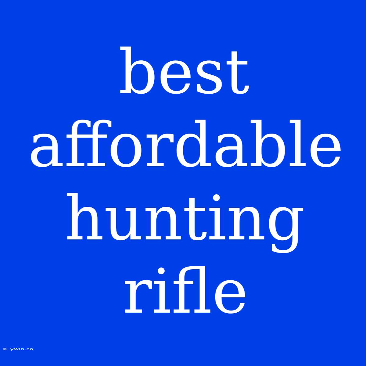 Best Affordable Hunting Rifle