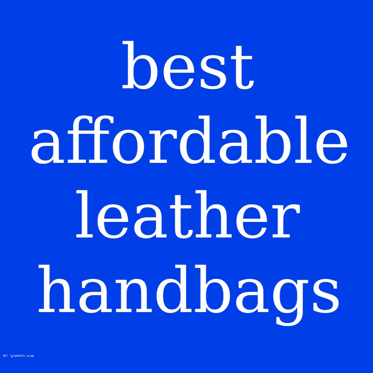 Best Affordable Leather Handbags