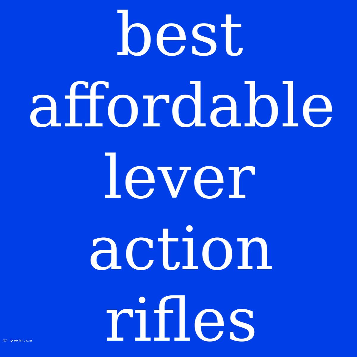 Best Affordable Lever Action Rifles