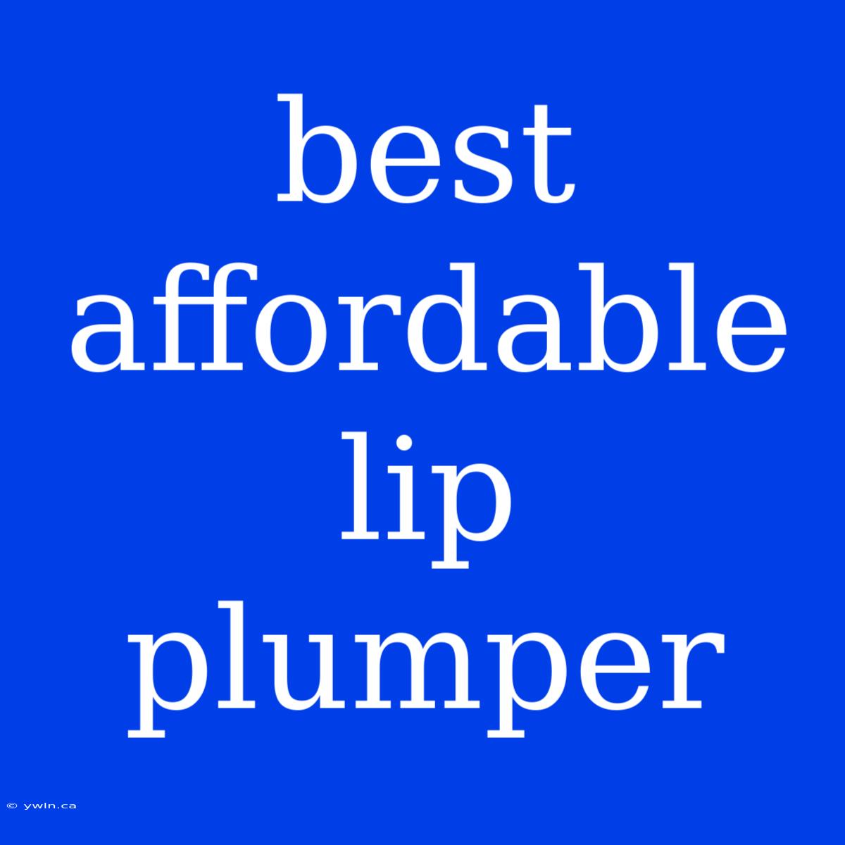 Best Affordable Lip Plumper