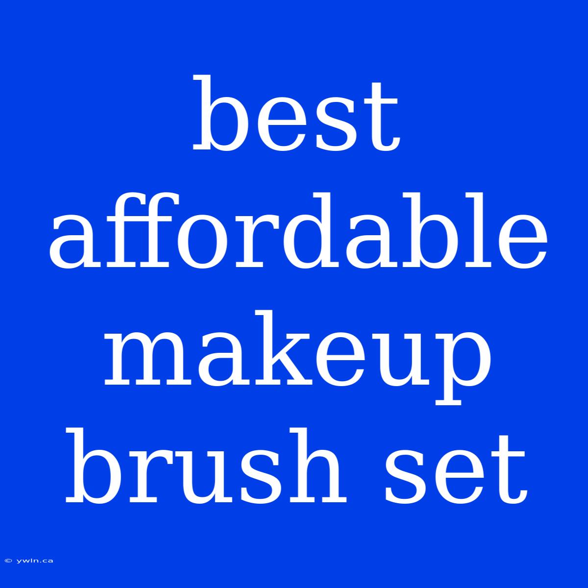 Best Affordable Makeup Brush Set