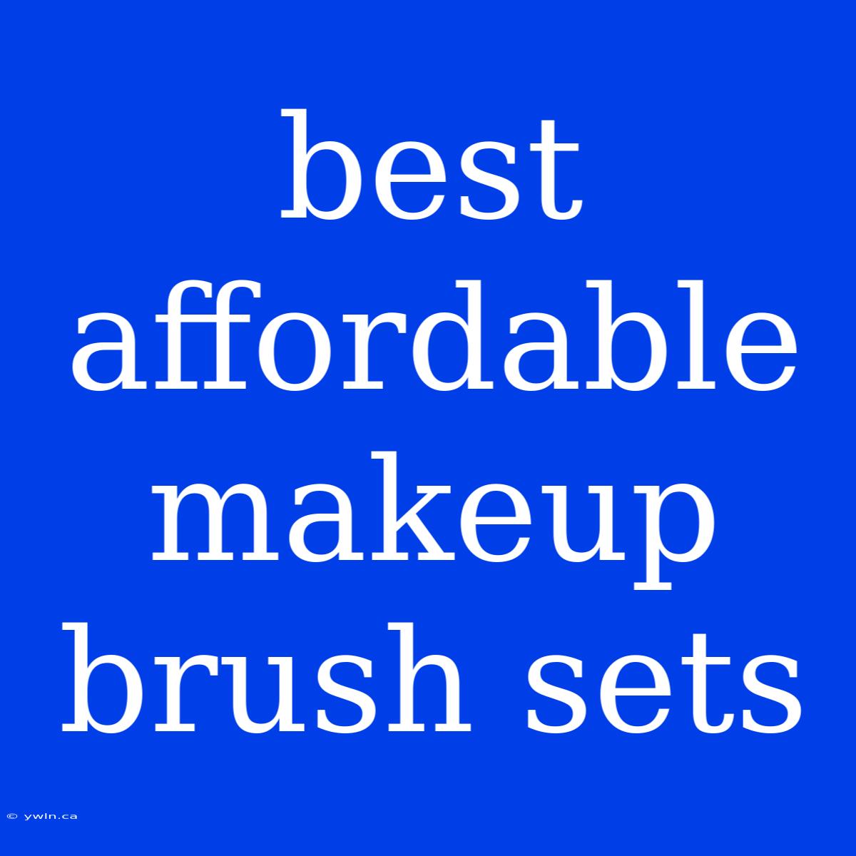 Best Affordable Makeup Brush Sets