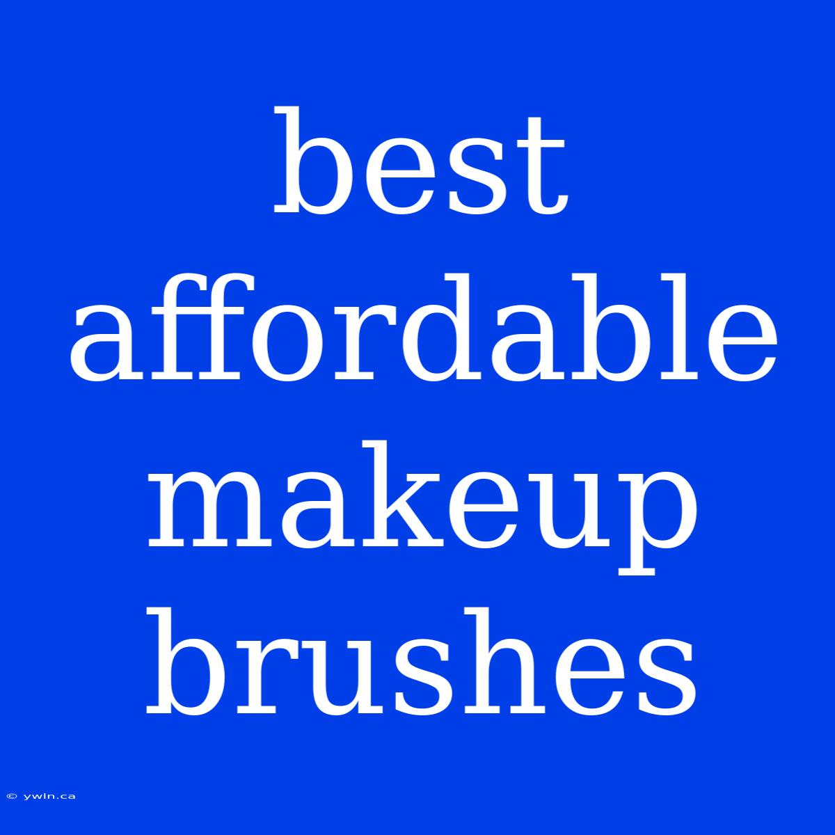 Best Affordable Makeup Brushes