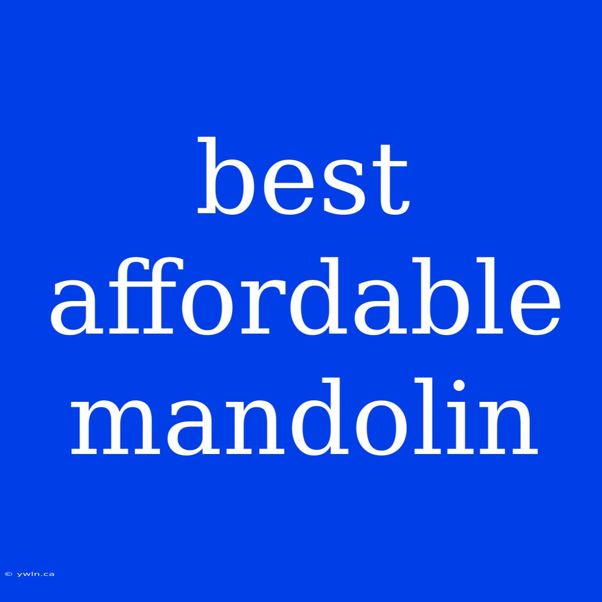 Best Affordable Mandolin