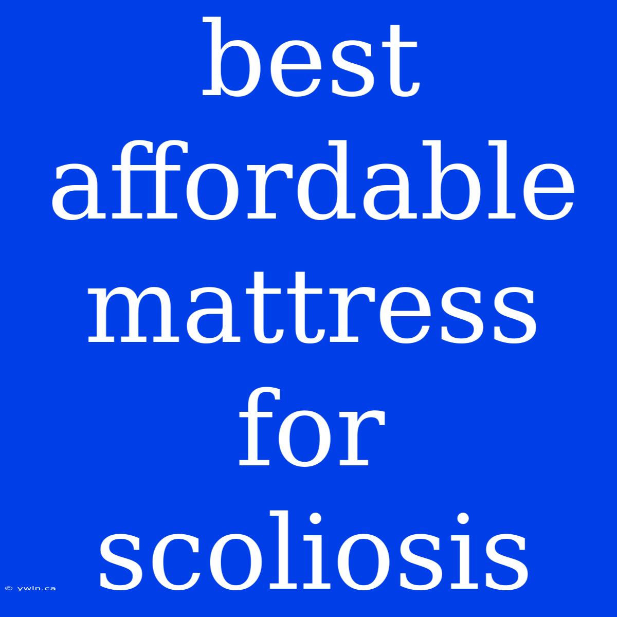 Best Affordable Mattress For Scoliosis