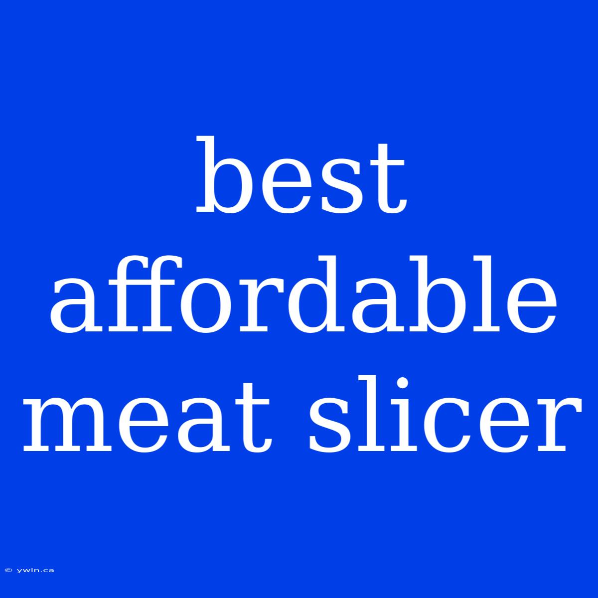 Best Affordable Meat Slicer