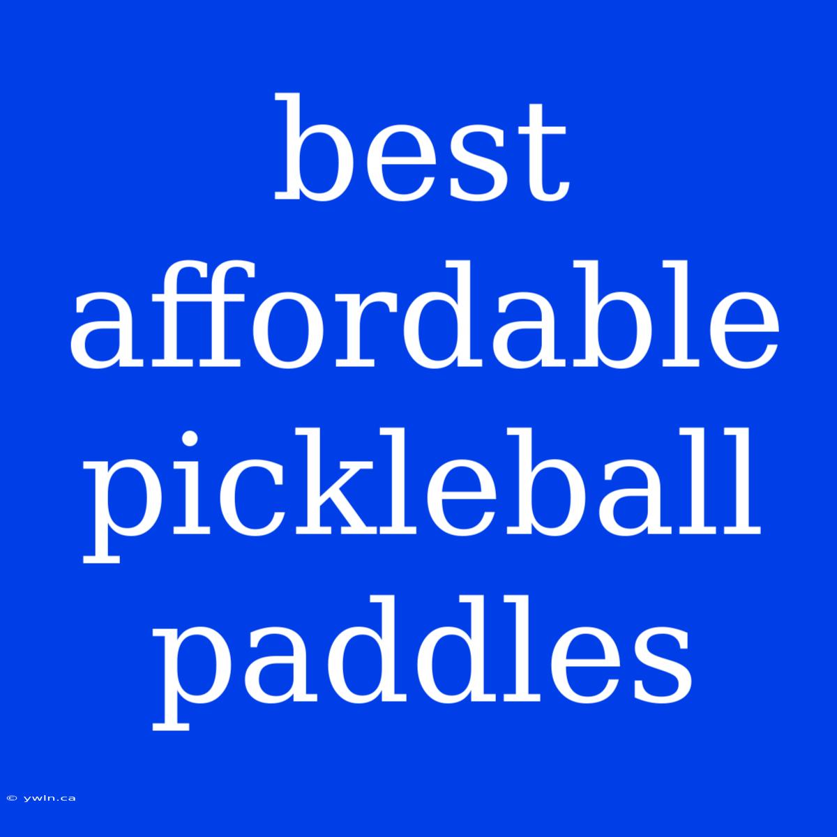 Best Affordable Pickleball Paddles