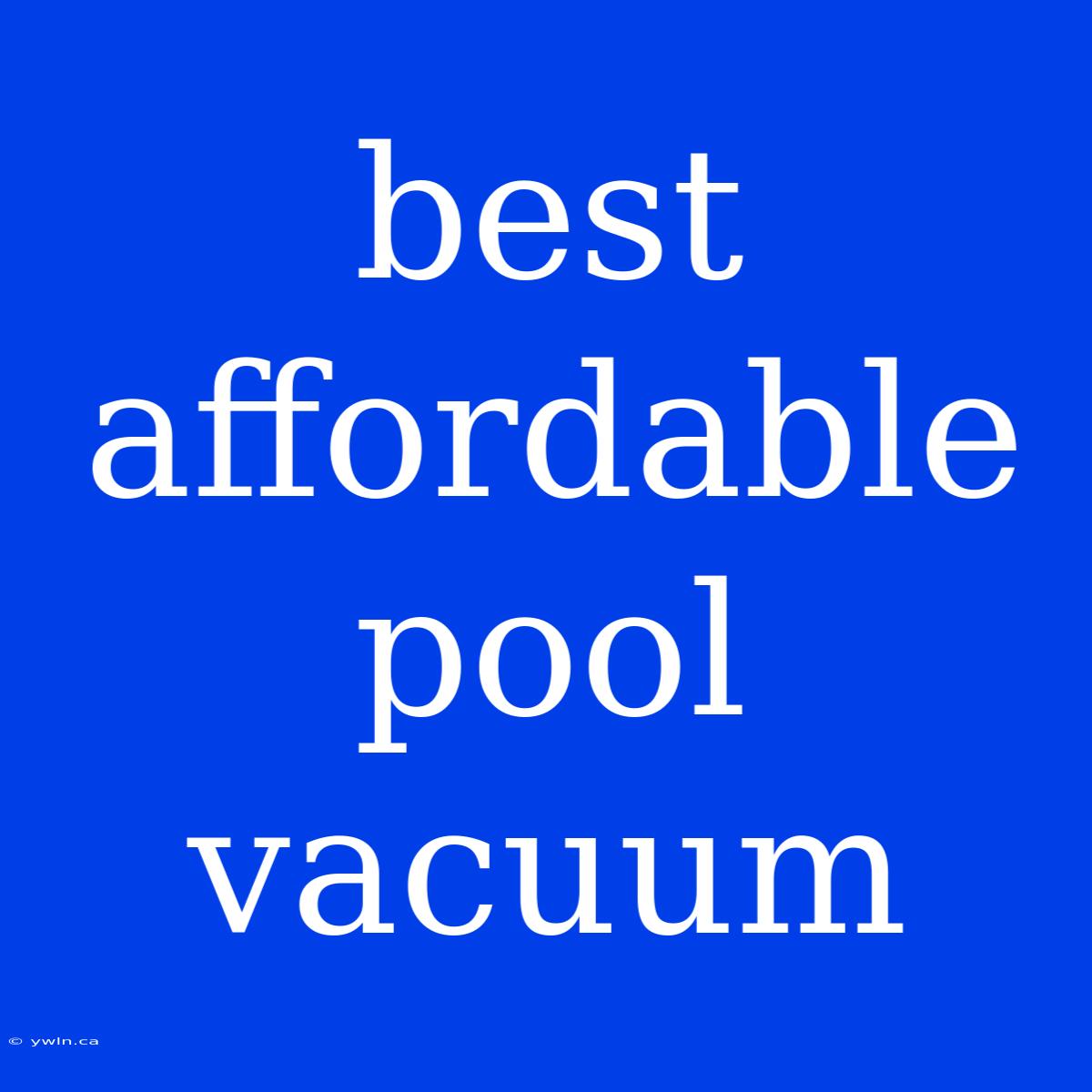 Best Affordable Pool Vacuum