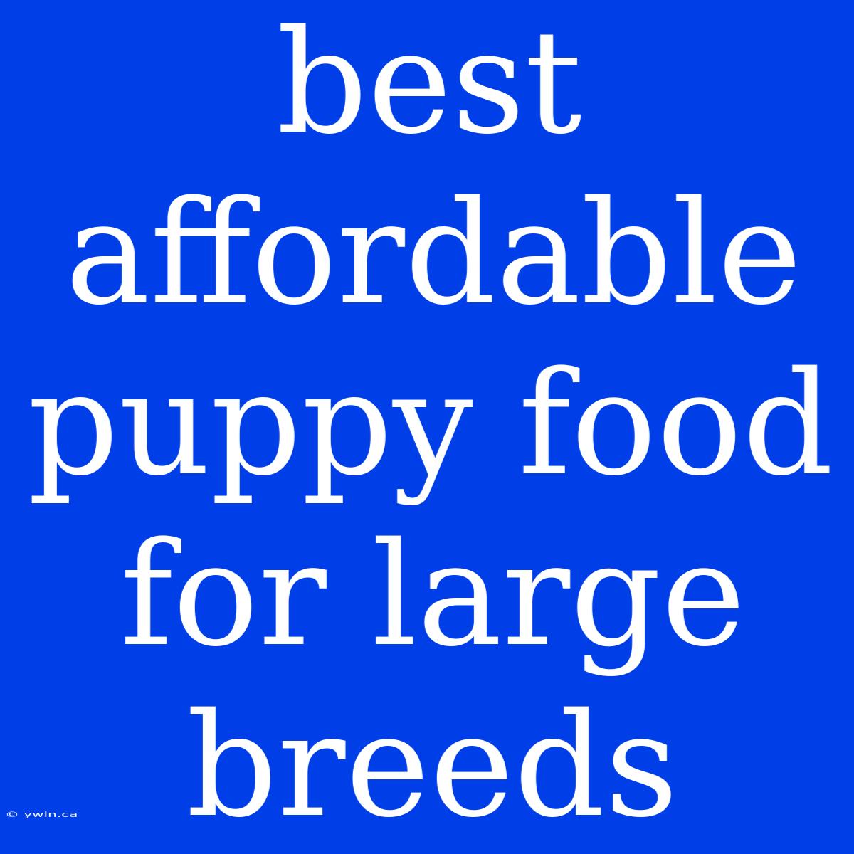 Best Affordable Puppy Food For Large Breeds