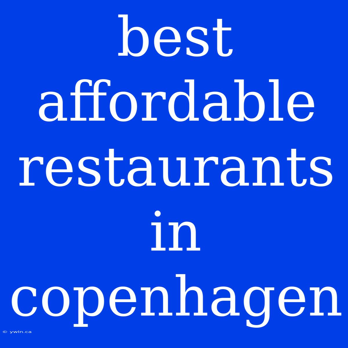 Best Affordable Restaurants In Copenhagen