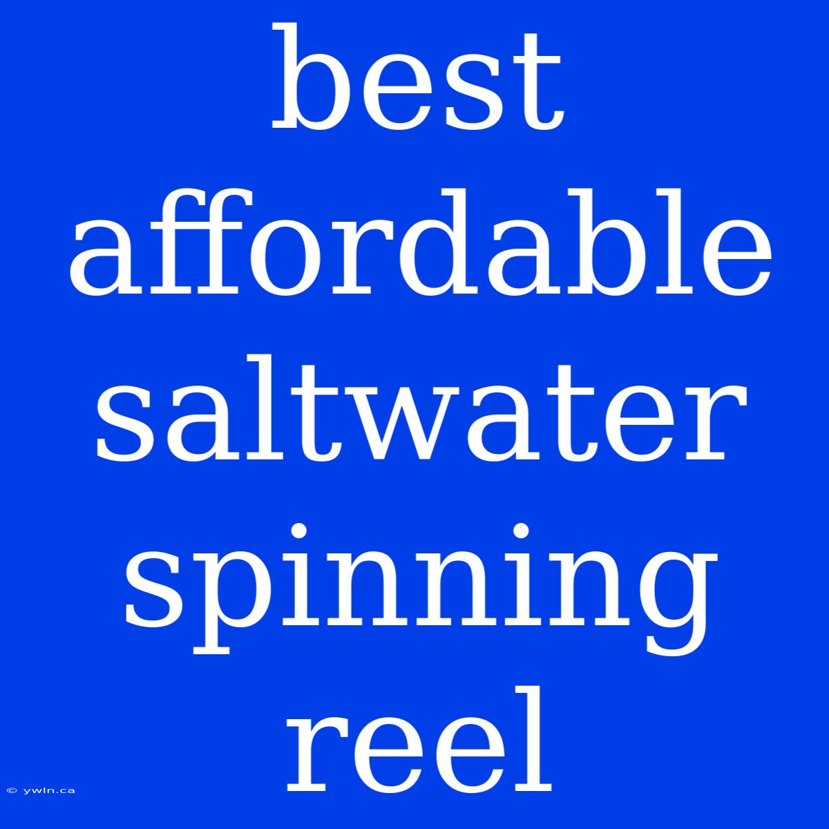 Best Affordable Saltwater Spinning Reel