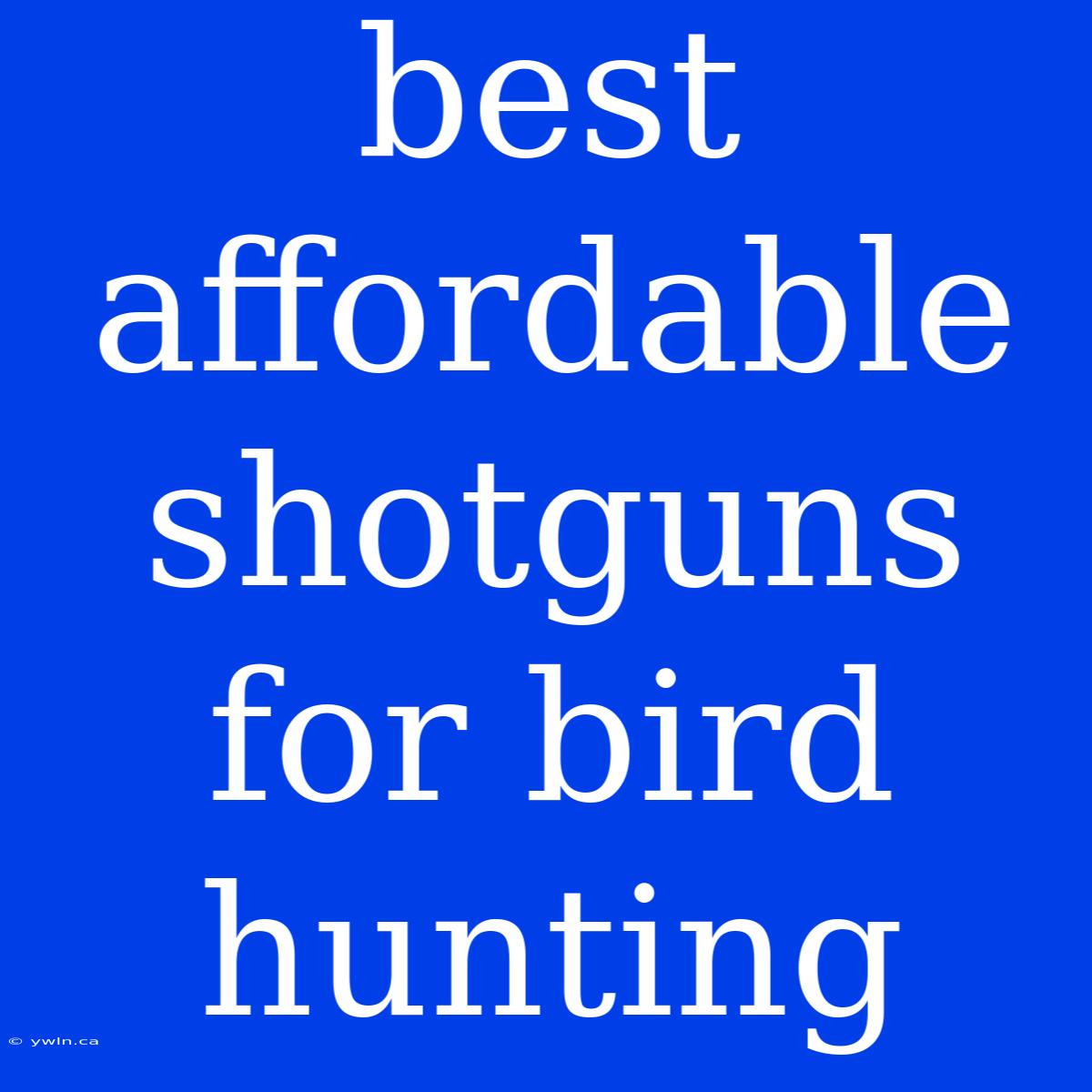 Best Affordable Shotguns For Bird Hunting