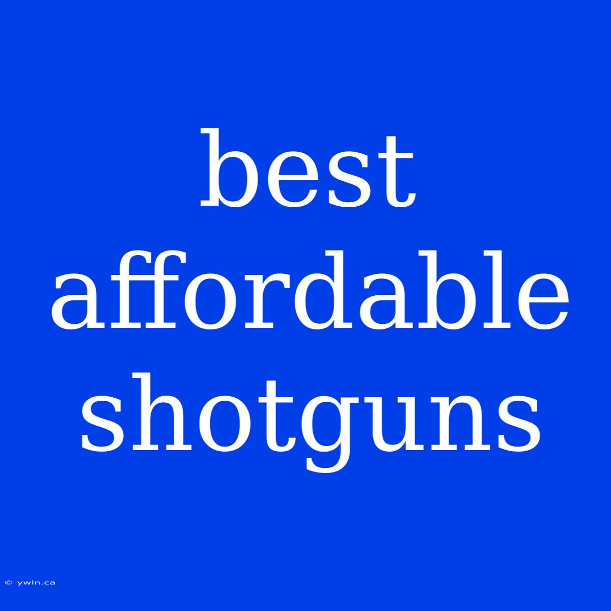 Best Affordable Shotguns