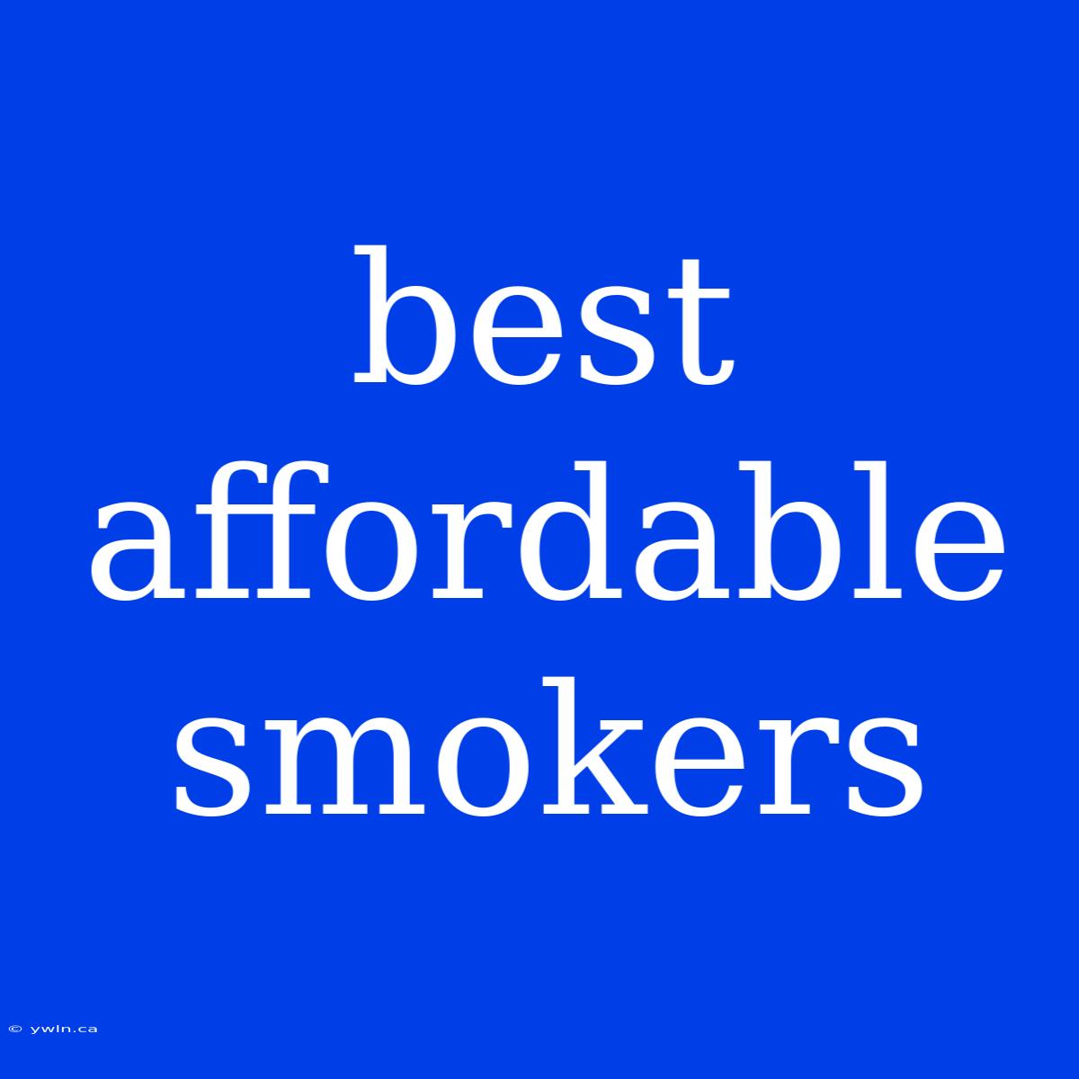 Best Affordable Smokers