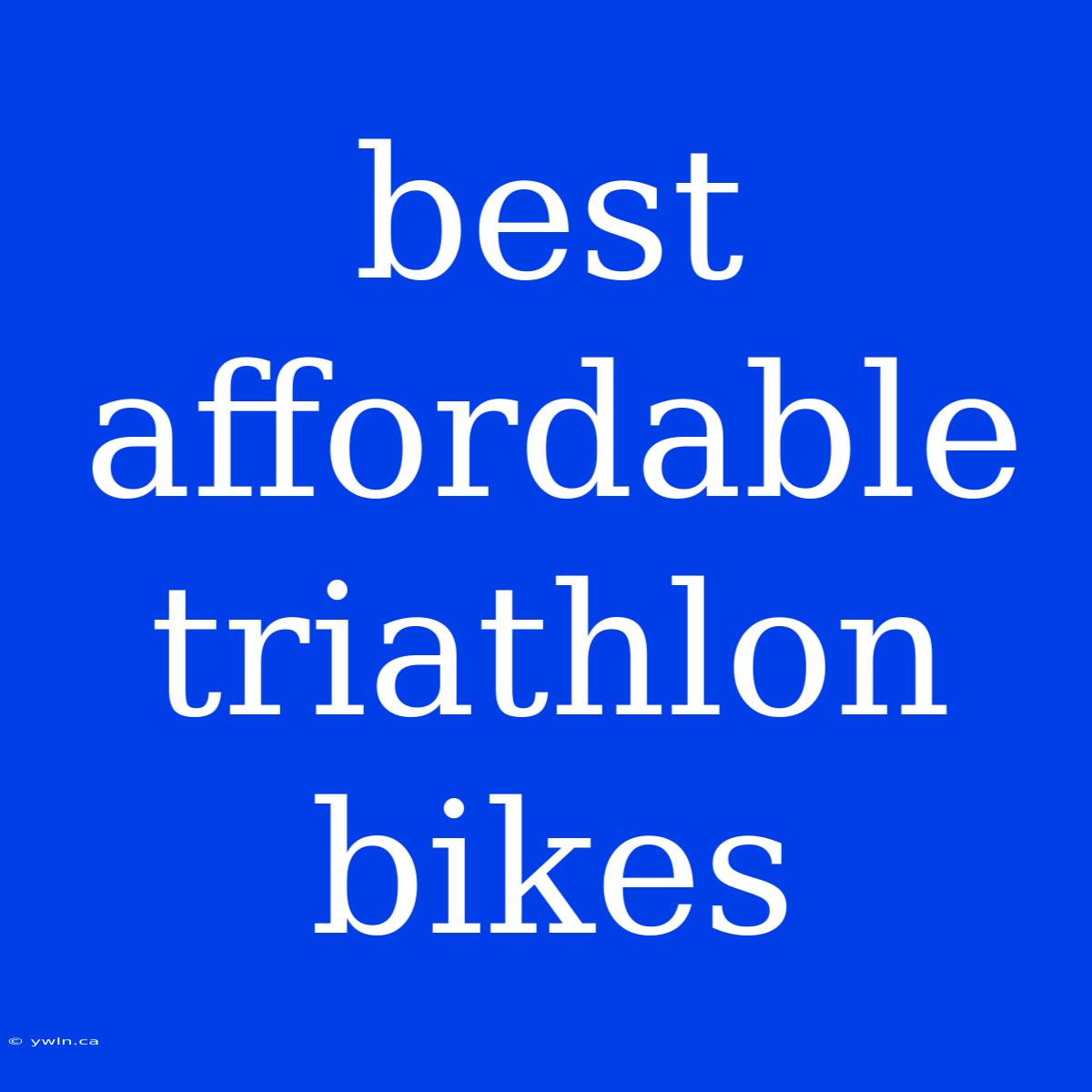 Best Affordable Triathlon Bikes