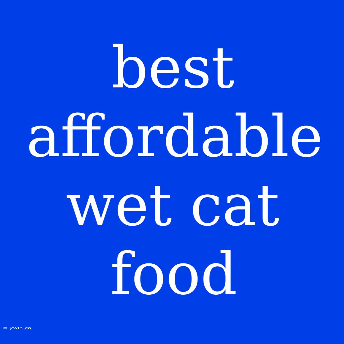 Best Affordable Wet Cat Food