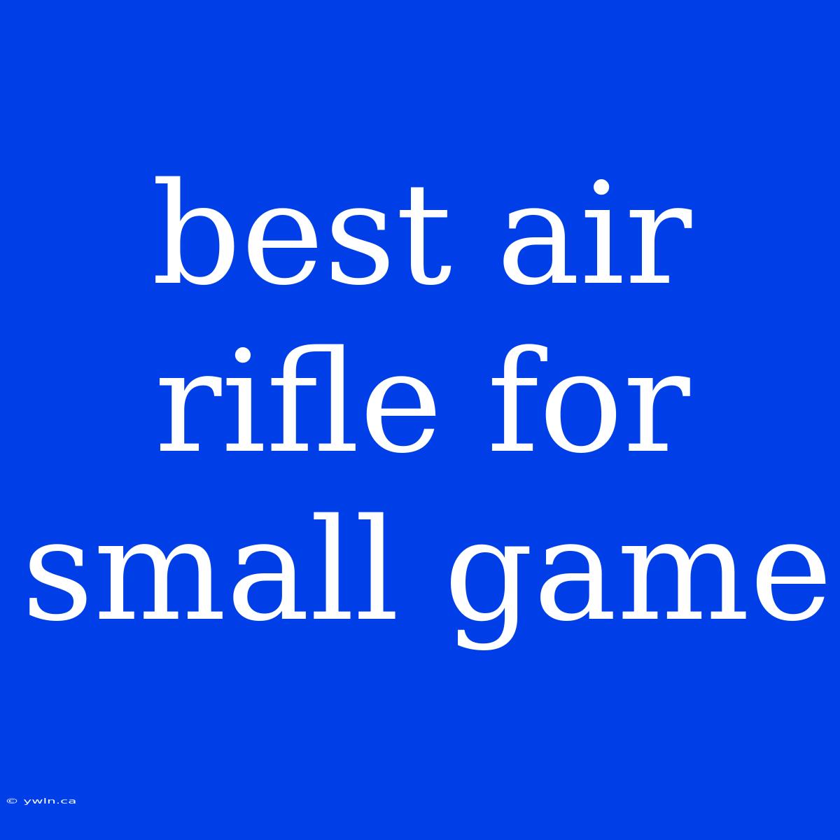 Best Air Rifle For Small Game