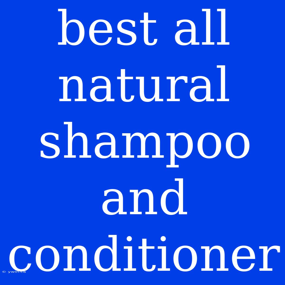 Best All Natural Shampoo And Conditioner