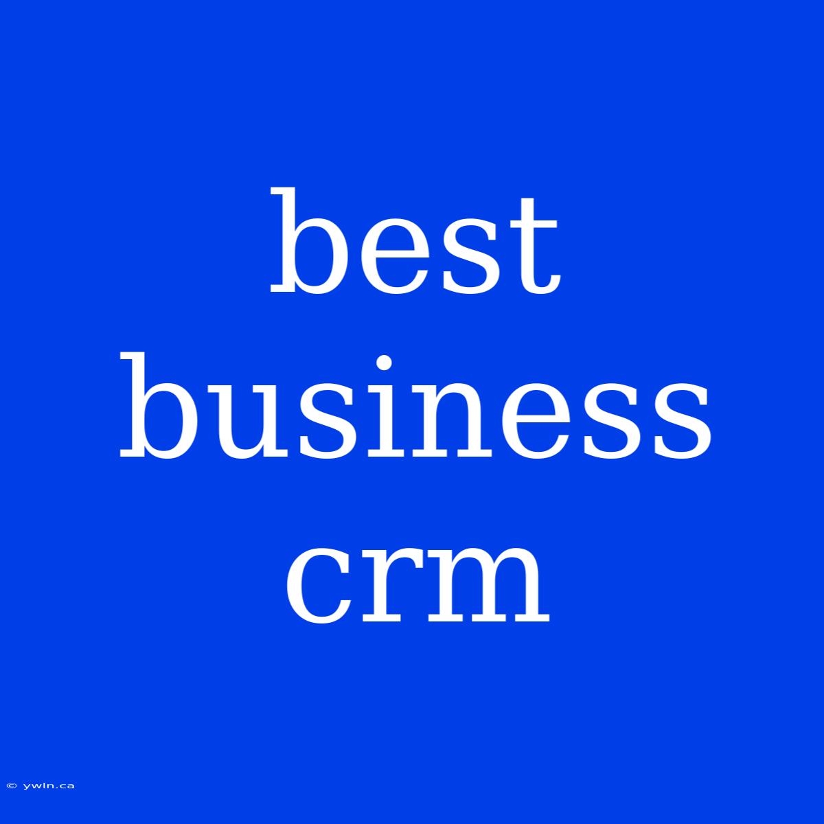 Best Business Crm