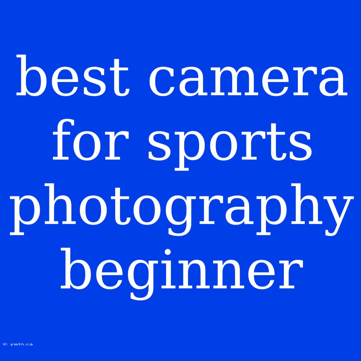 Best Camera For Sports Photography Beginner