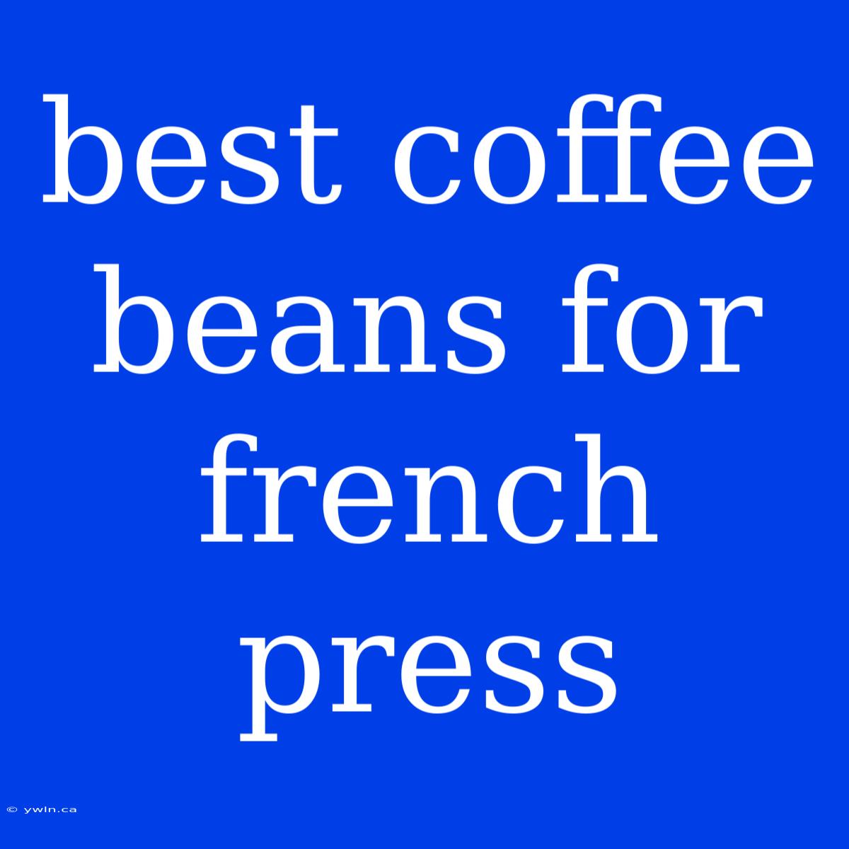 Best Coffee Beans For French Press