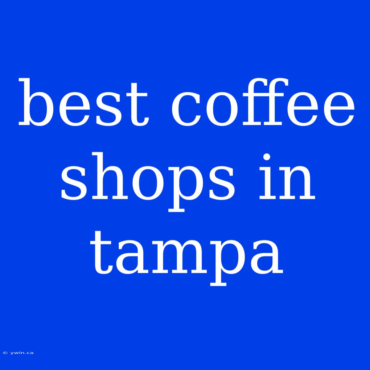 Best Coffee Shops In Tampa