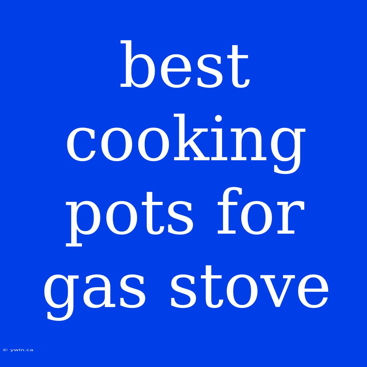 Best Cooking Pots For Gas Stove