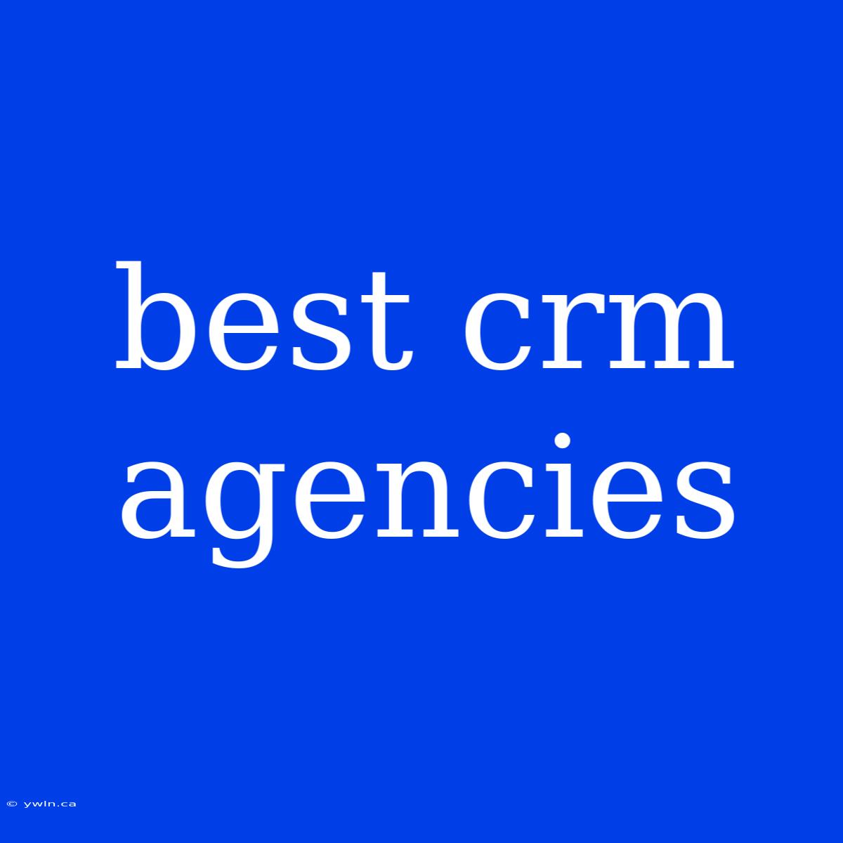 Best Crm Agencies