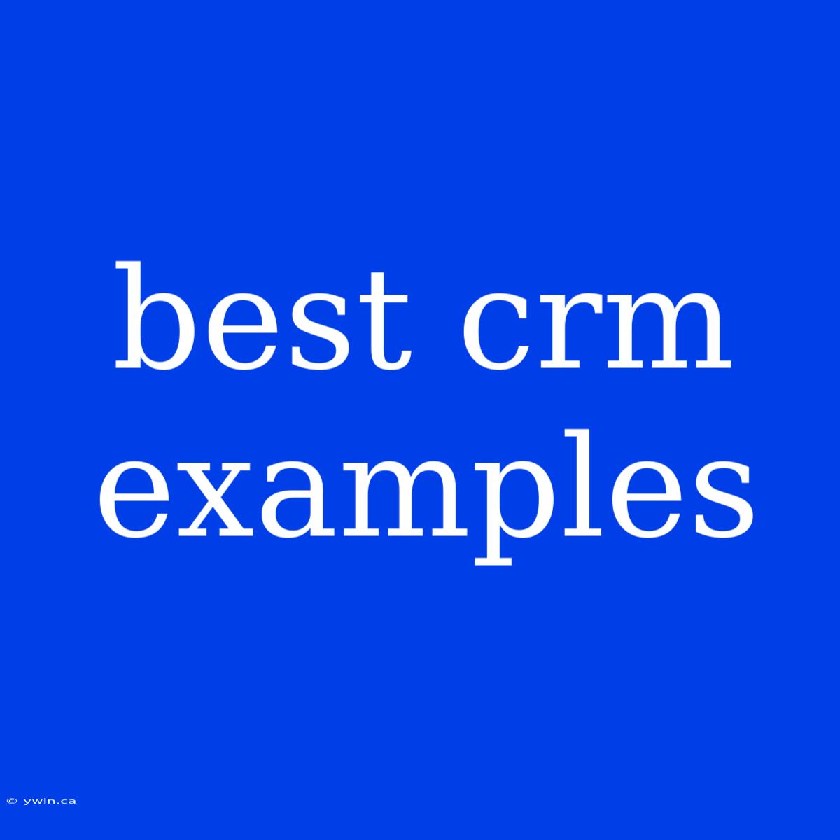 Best Crm Examples