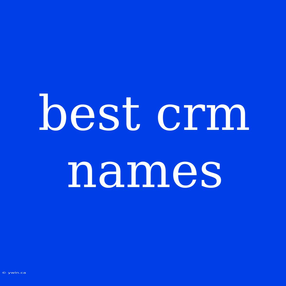 Best Crm Names