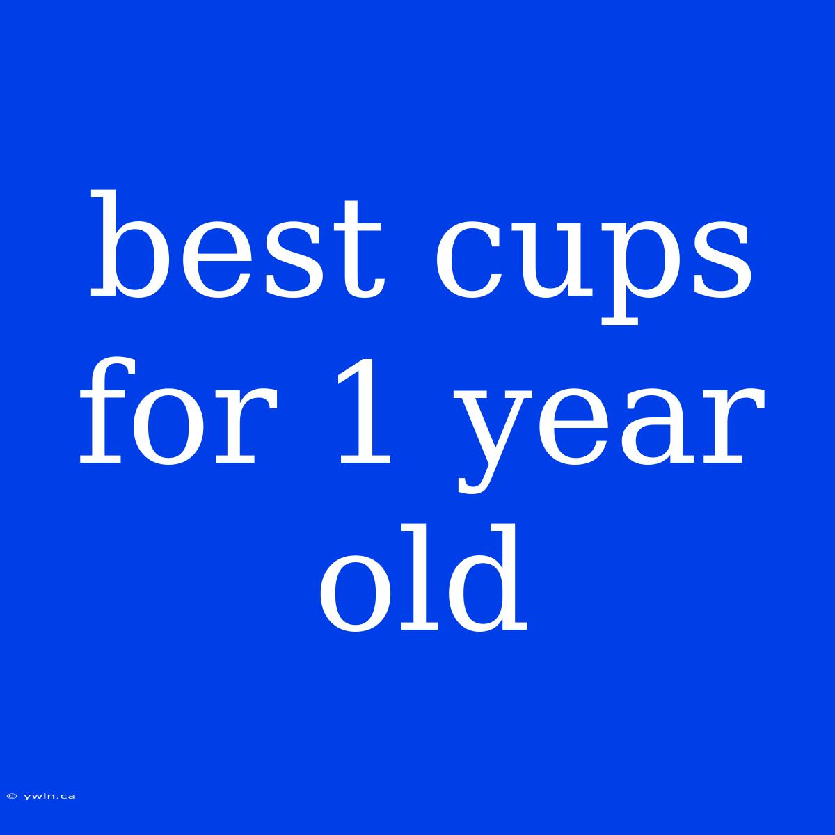 Best Cups For 1 Year Old