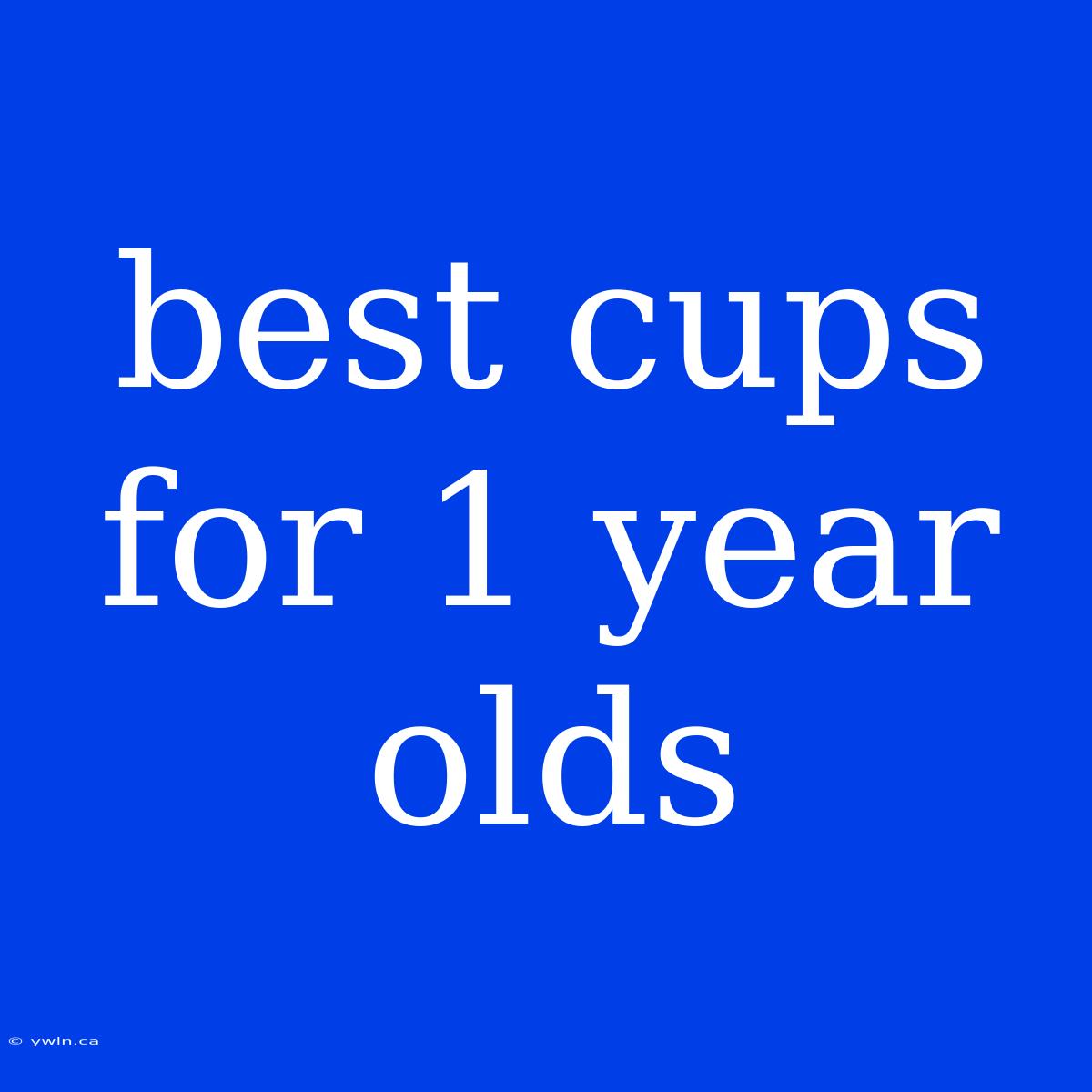 Best Cups For 1 Year Olds