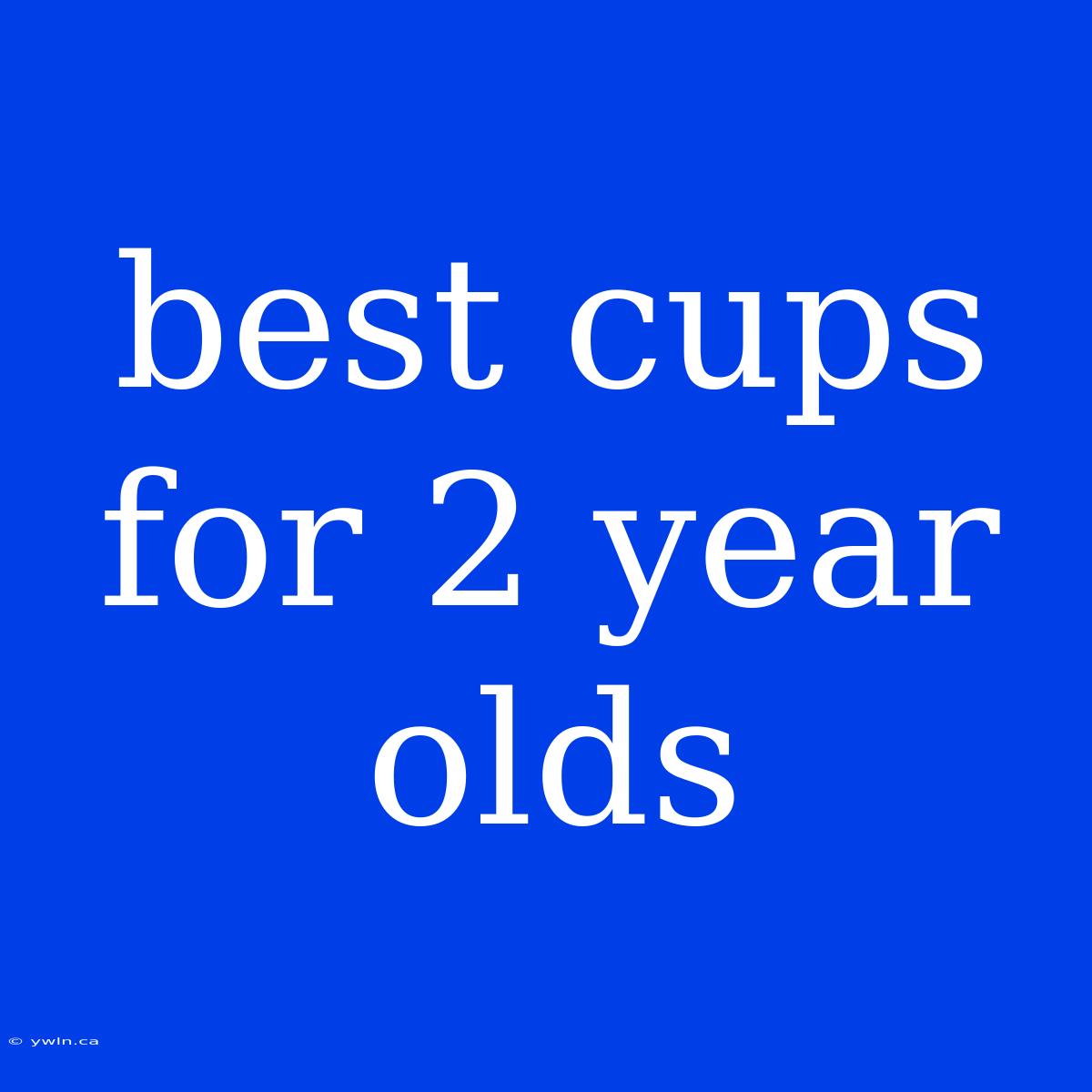 Best Cups For 2 Year Olds