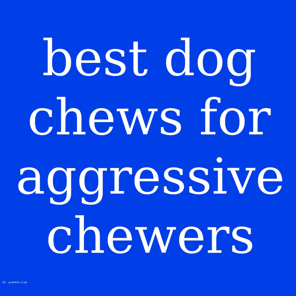 Best Dog Chews For Aggressive Chewers