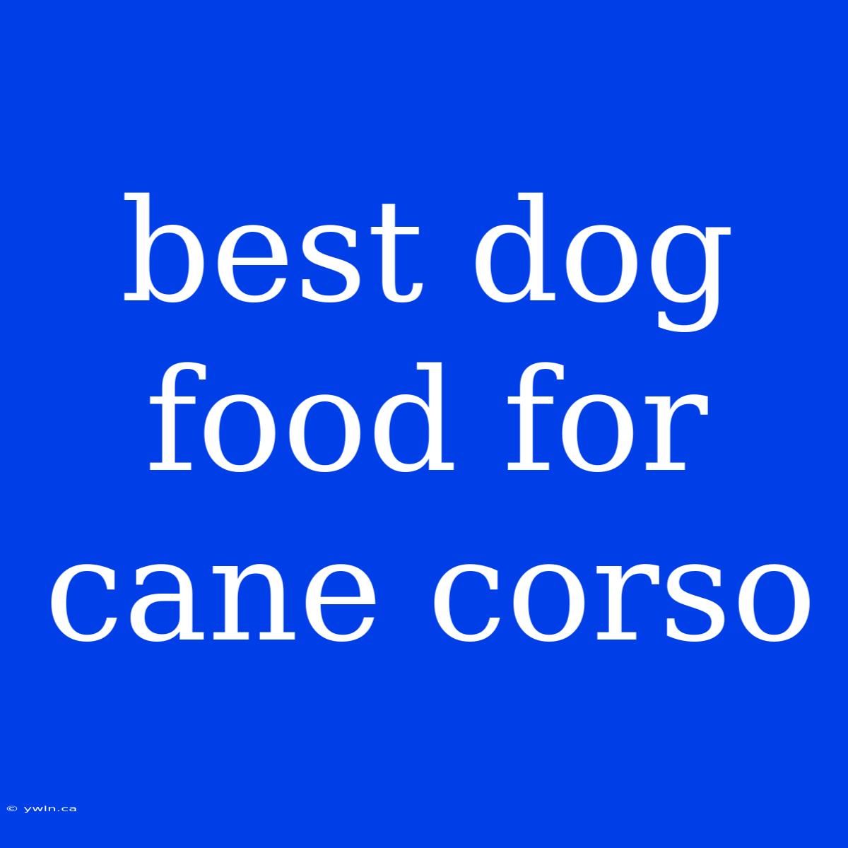 Best Dog Food For Cane Corso