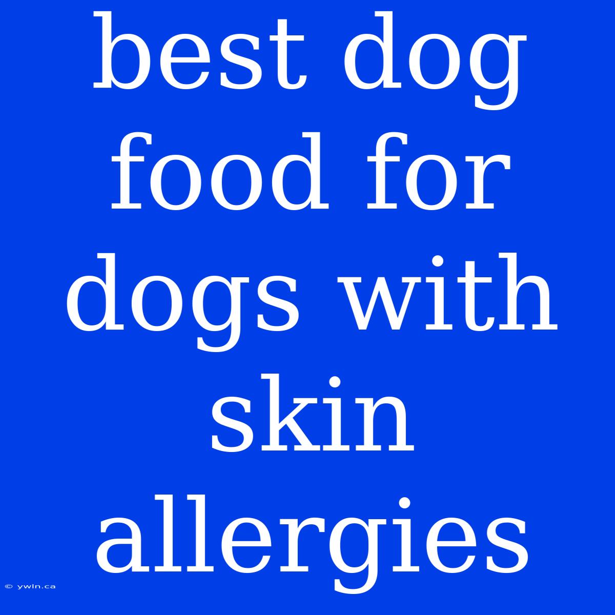 Best Dog Food For Dogs With Skin Allergies