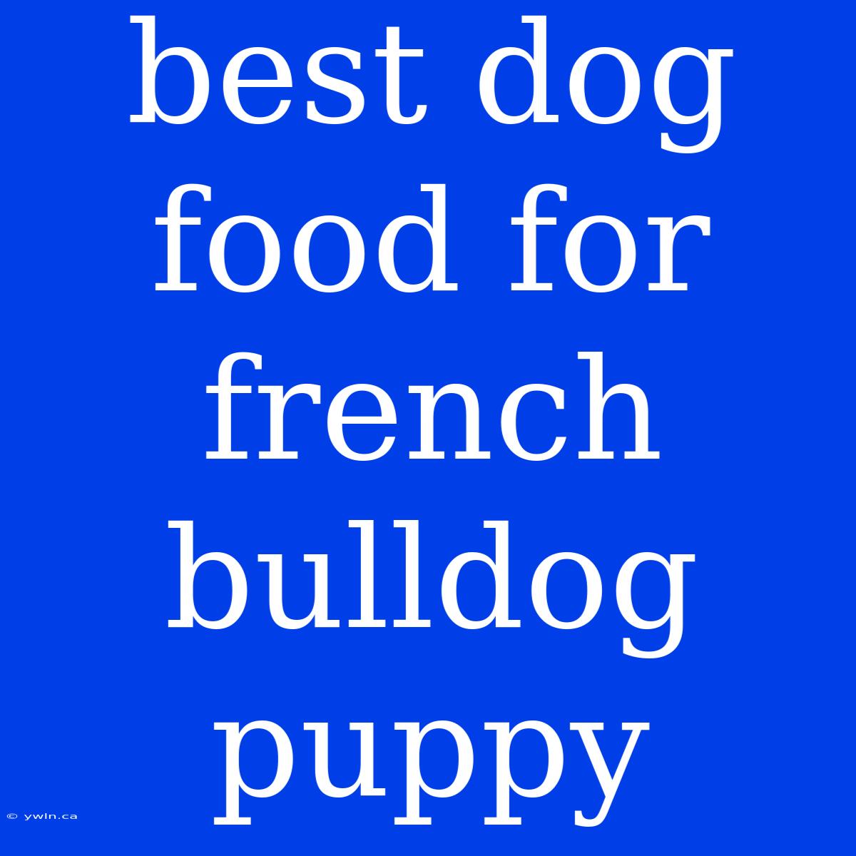 Best Dog Food For French Bulldog Puppy