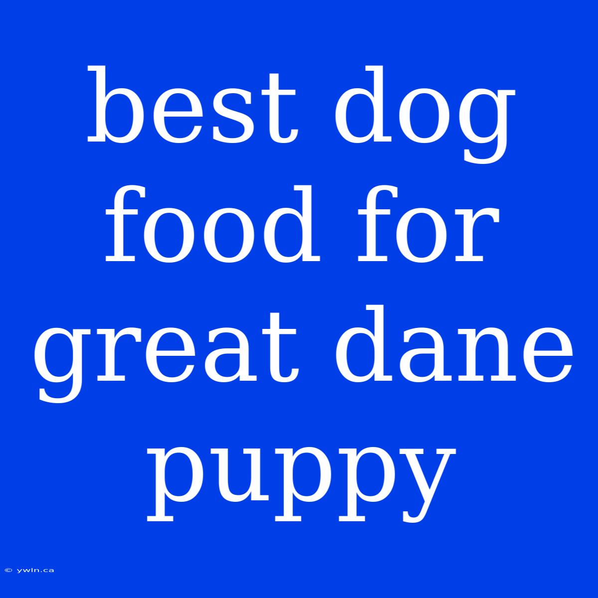 Best Dog Food For Great Dane Puppy