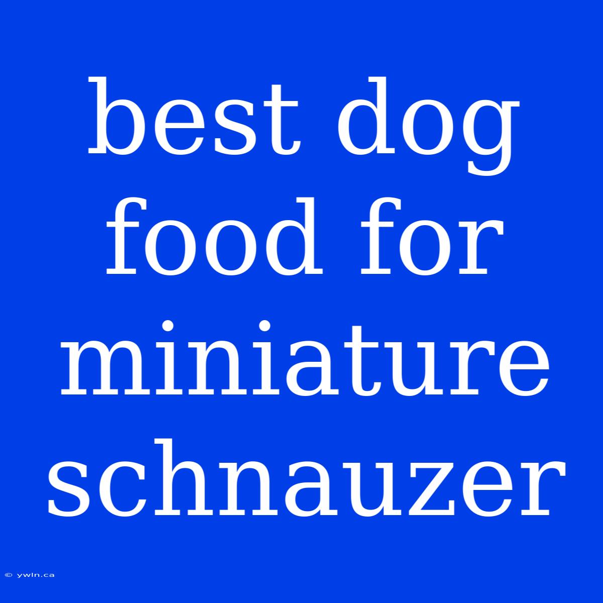 Best Dog Food For Miniature Schnauzer