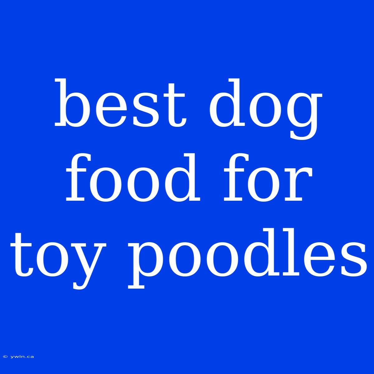 Best Dog Food For Toy Poodles