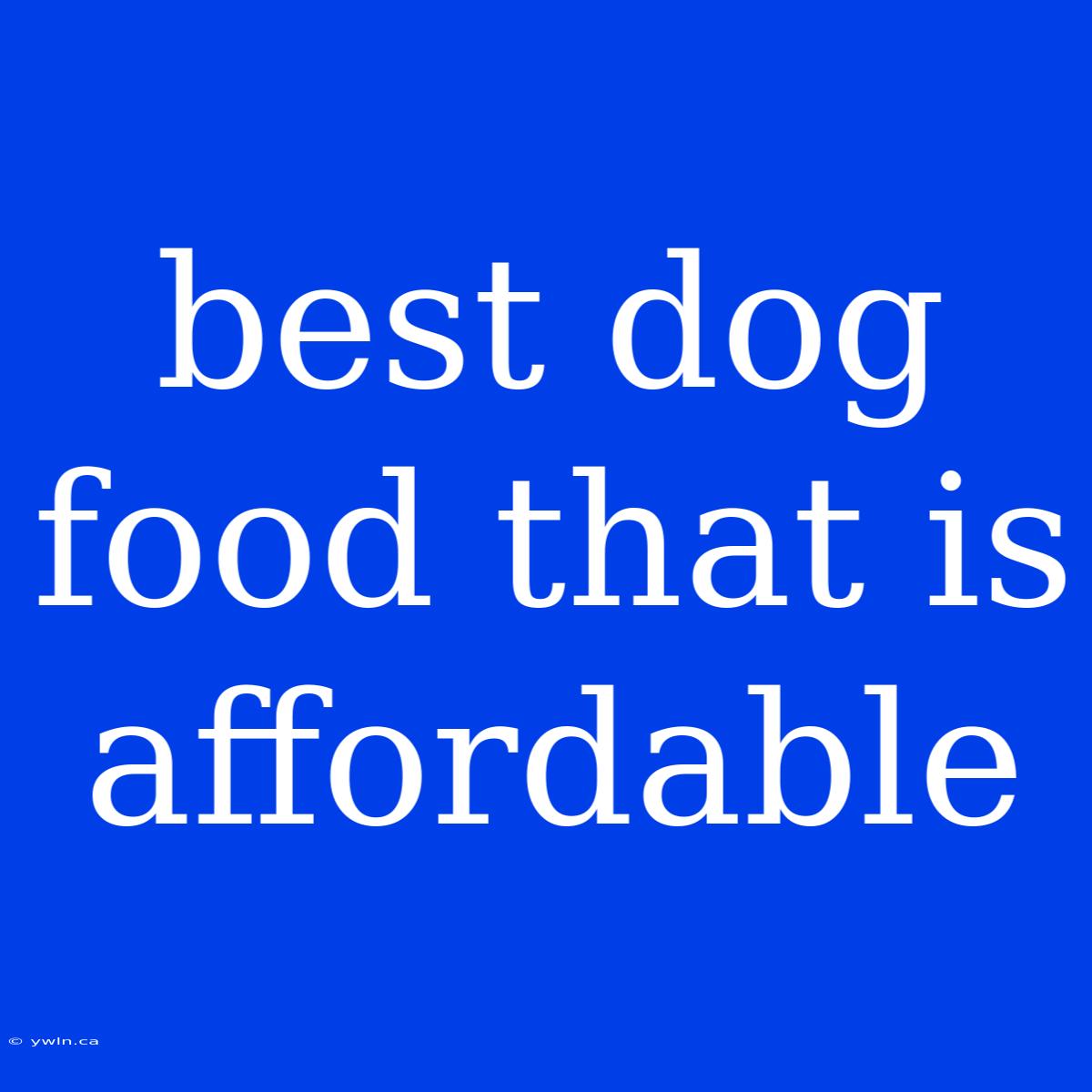 Best Dog Food That Is Affordable