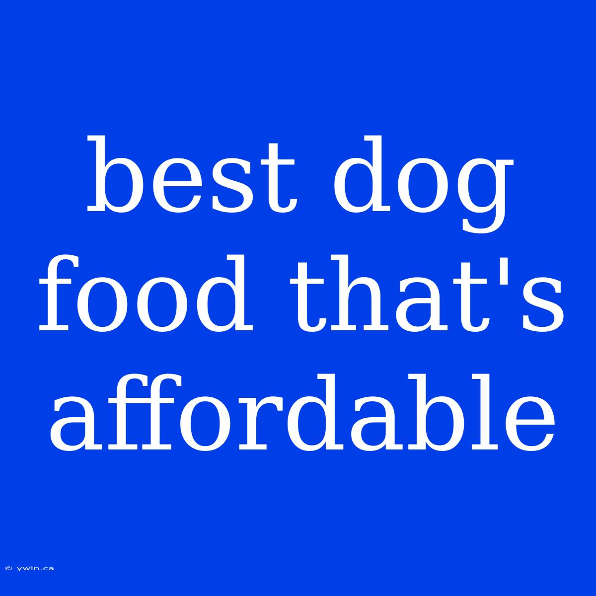 Best Dog Food That's Affordable