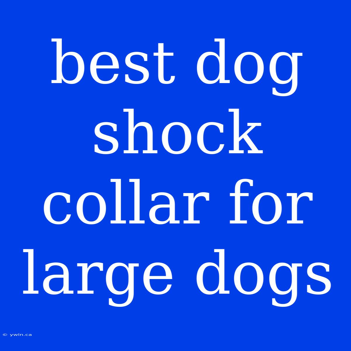 Best Dog Shock Collar For Large Dogs