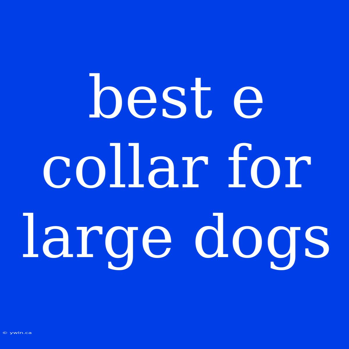 Best E Collar For Large Dogs