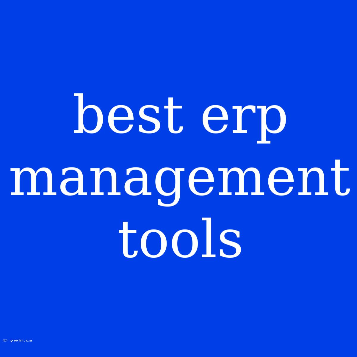 Best Erp Management Tools